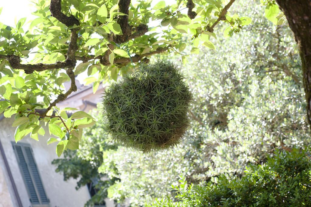 Albergo Stella Casciana Terme Ngoại thất bức ảnh